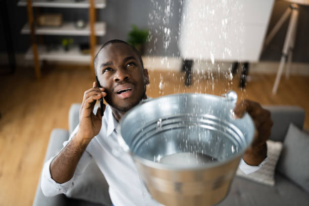 Best Flood damage cleanup  in Mount Hope, WV