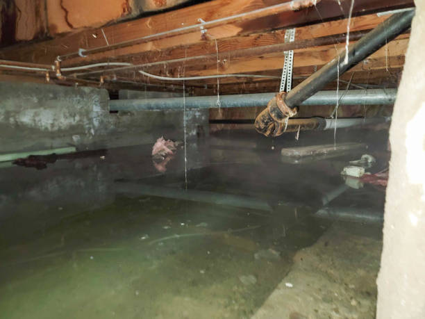 Best Ceiling water damage repair  in Mount Hope, WV