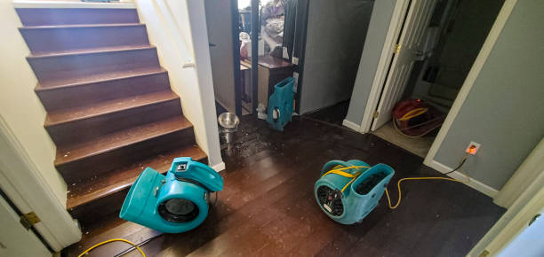 Best Professional water damage repair  in Mount Hope, WV
