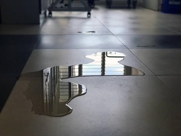 Best Water damage restoration near me  in Mount Hope, WV
