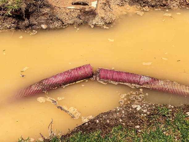 Best Sewage cleanup and water damage restoration  in Mount Hope, WV