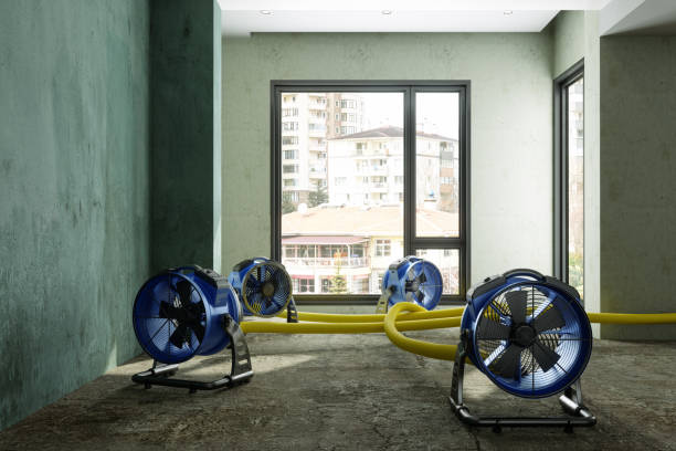 Best 24/7 water damage repair  in Mount Hope, WV